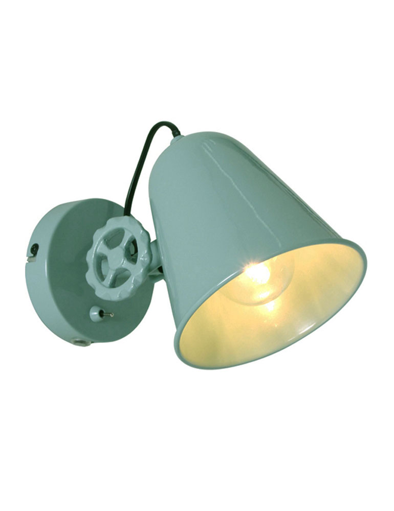 Uitdrukking Centrum manager Wandlamp met stoere details Anne Lighting Dolphin mintgroen -  Directlampen.nl