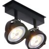 Twee zwarte spots aan plafond Steinhauer Lenox