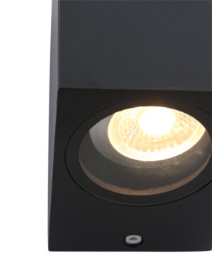 steinhauer-buitenlamp-buitenlampen-zwart-glasmetaal-gu10-1497zw-1