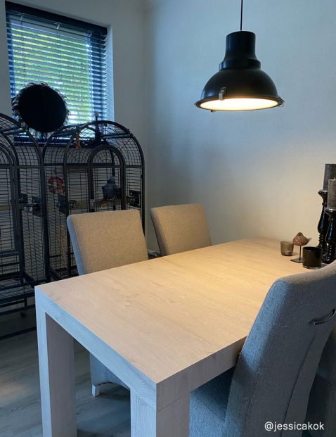 5798ZW—Jessicakok