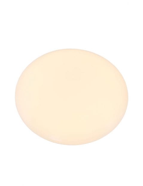 Ronde plafondlamp