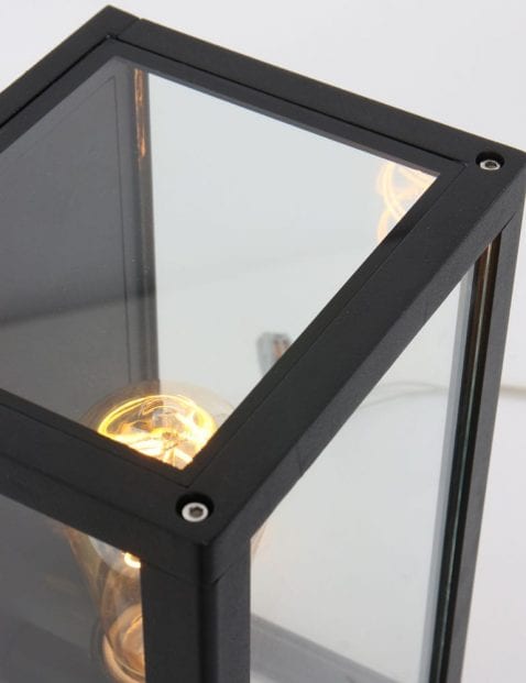 zwarte_lamp_met_glas_buiten