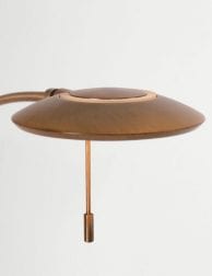 led leeslamp