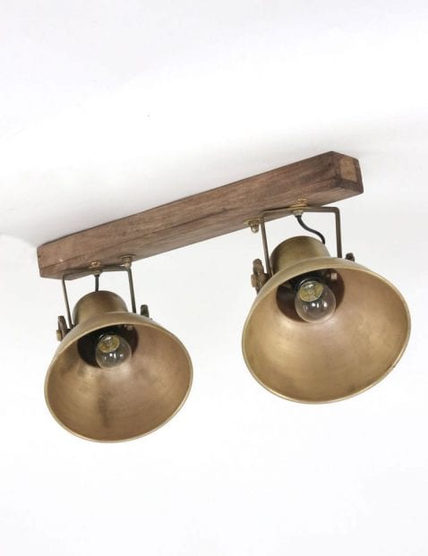plafonlamp met 2 lichts spot