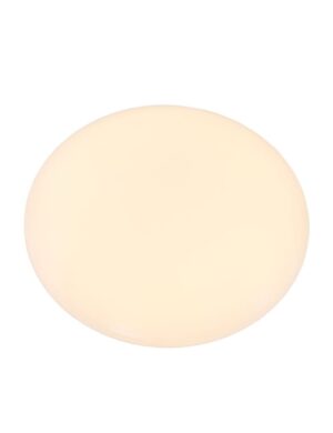 Sfeervolle plafondlamp