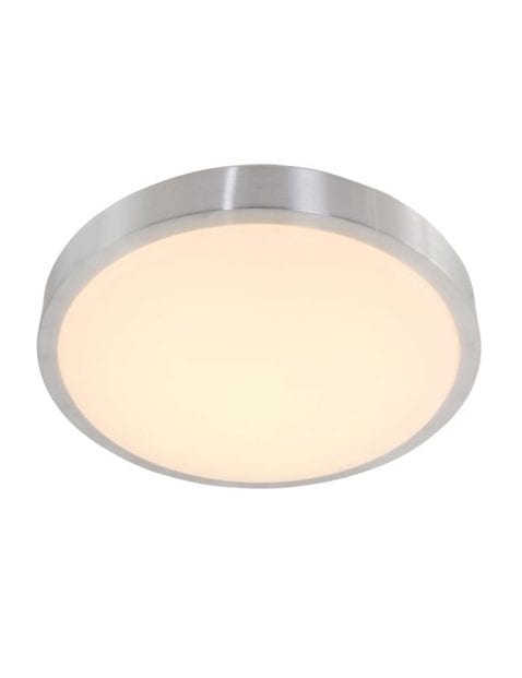 Staalkleurige plafondlamp