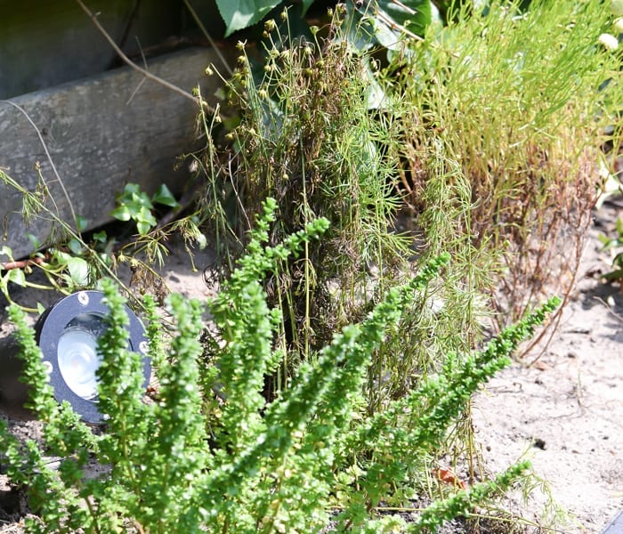 Grondspot tuin