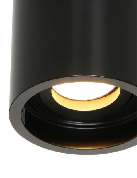 1731ZW-1