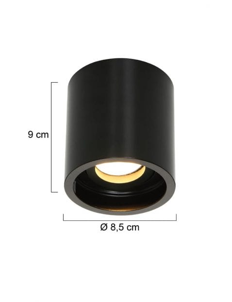 1731ZW-2