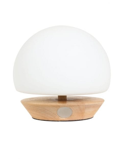 bollamp-met-houten-onderkant-7932BE-5