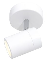 2486W-1
