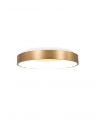 Plafondlamp ring-2562GO