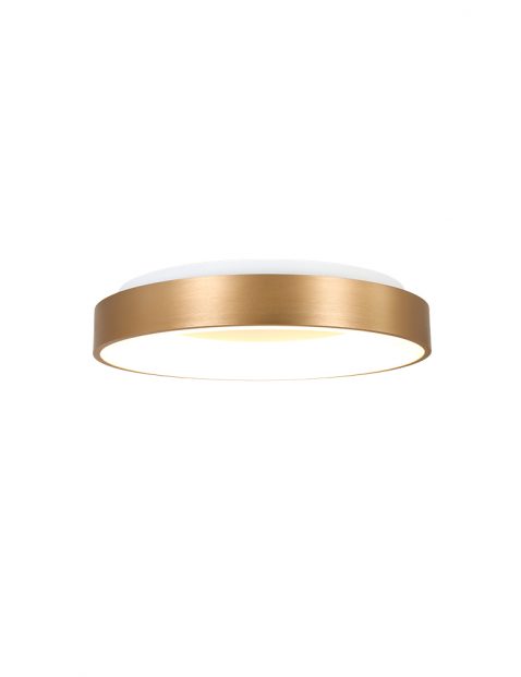 Plafondlamp ring-2562GO