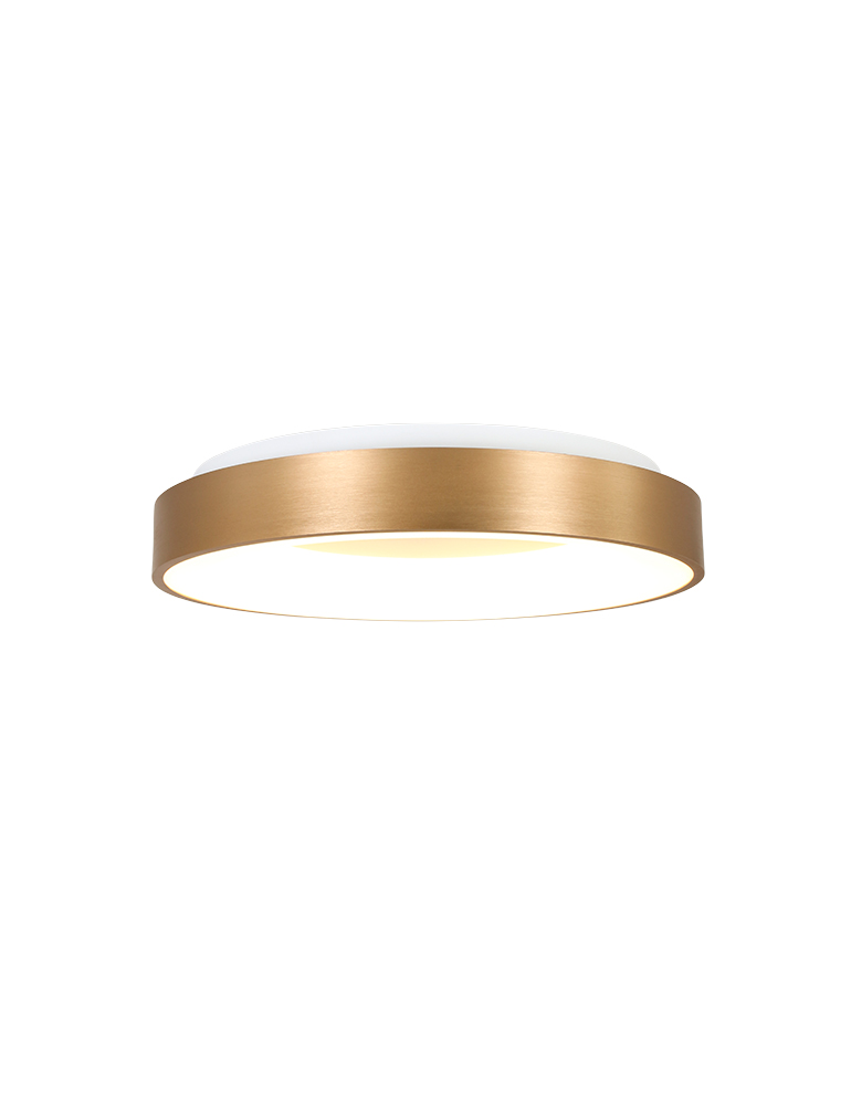 Plafondlamp ring-2562GO