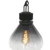 2669ZW-Rookglazen hanglamp
