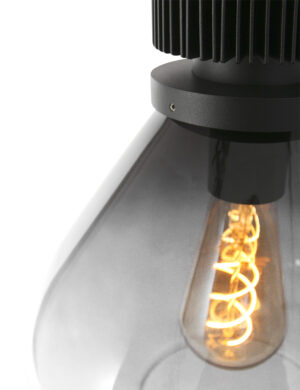 steinhauer-hanglamp-flere-zwart-glasmetaal-ø25cm-e27-2669zw-1