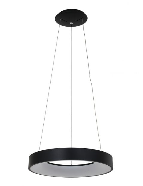 2695ZW-12