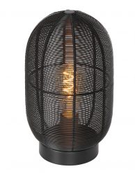 Draadlamp lantaarn-