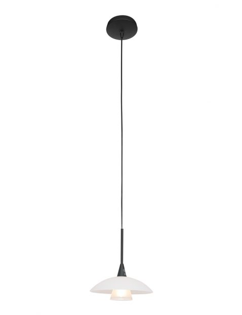 Hanglamp met glazen schotel-2655ZW