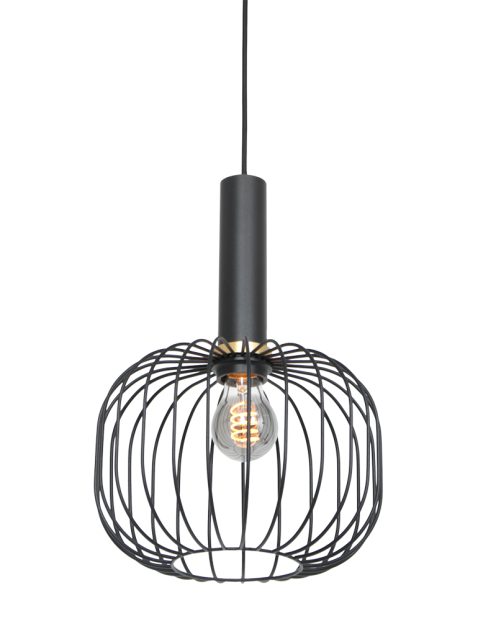 Trendy draadlamp met gouden details-3070ZW