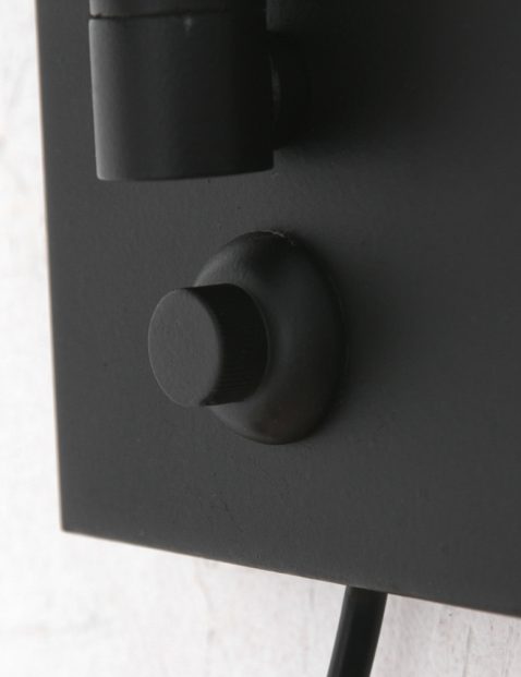 8118ZW-13
