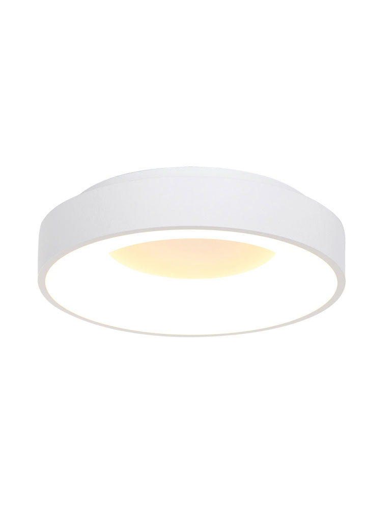 Strakke ronde LED plafondlamp-3086W