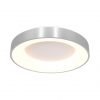 Cirkelvormige LED plafondlamp-3086ZI