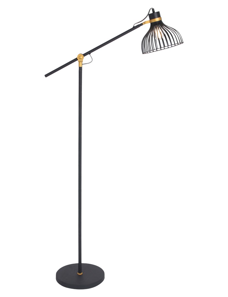 Landschap Bulk vonnis Zwarte staande draad lamp met gouden details Anne Lighting Dunbar -  Directlampen.nl