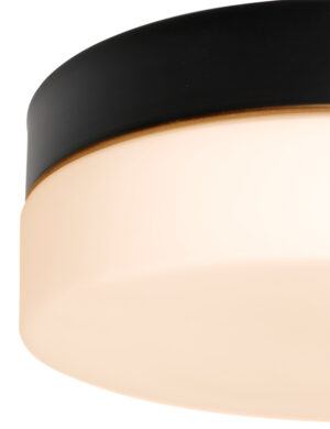 steinhauer-plafonniere-ikaro-zwart-glasmetaal-ø30cm-led-1364zw--10