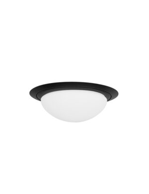 steinhauer-plafonniere-ikaro-zwart-glasmetaal-ø24cm-led-1365zw-1