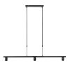hanglamp-steinhauer-stang-geborsteld-zwart-3457zw