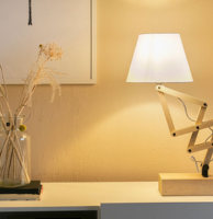 Scandinavische lampen