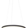 hanglamp-steinhauer-ringlux-geborsteld-zwart-3502zw