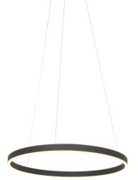 hanglamp-steinhauer-ringlux-geborsteld-zwart-3502zw