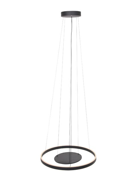 hanglamp-steinhauer-ringlux-geborsteld-zwart-3514zw-10
