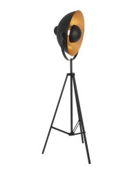 vloerlamp-mexlite-sunflower-goud-en-zwart-3664zw-1