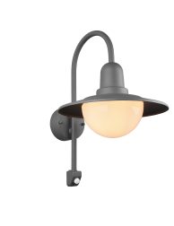 moderne-antracieten-wandlamp-met-bol-trio-leuchten-norman-207269142