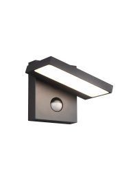 industriële-antracieten-wandlamp-met-bewegingssensor-trio-leuchten-horton-226369142