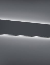226460242