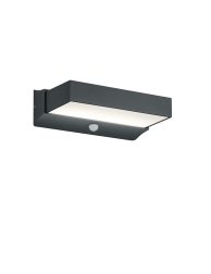 moderne-antracieten-langwerpige-wandlamp-trio-leuchten-cuando-226669242