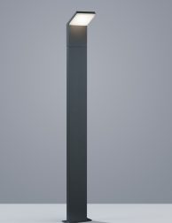 421160142