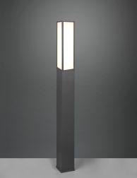 426260142