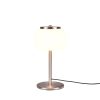 moderne-nikkelen-bolvormige-tafellamp-trio-leuchten-madison-542010107
