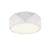 moderne-ronde-witte-plafondlamp-trio-leuchten-zandor-603500331