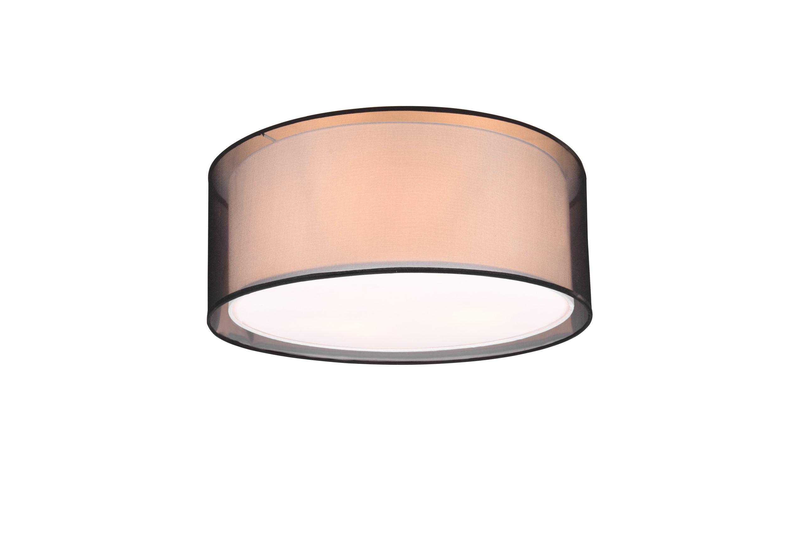 moderne-transparante-zwarte-plafondlamp-trio-leuchten-burton-611400332