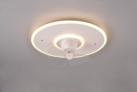 R64133131