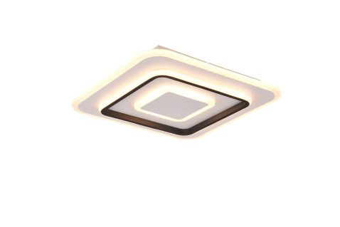 R64293131