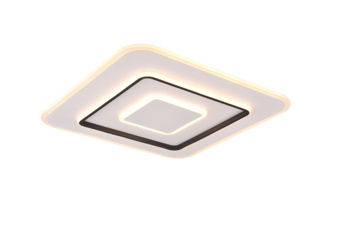 R64293931