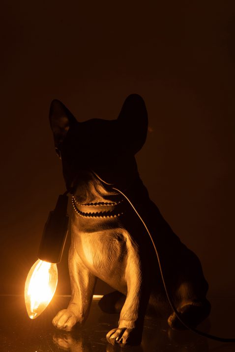 moderne-zwarte-tafellamp-hond-jolipa-bulldog-poly-2