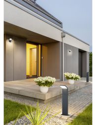Decorative outdoor lights around house